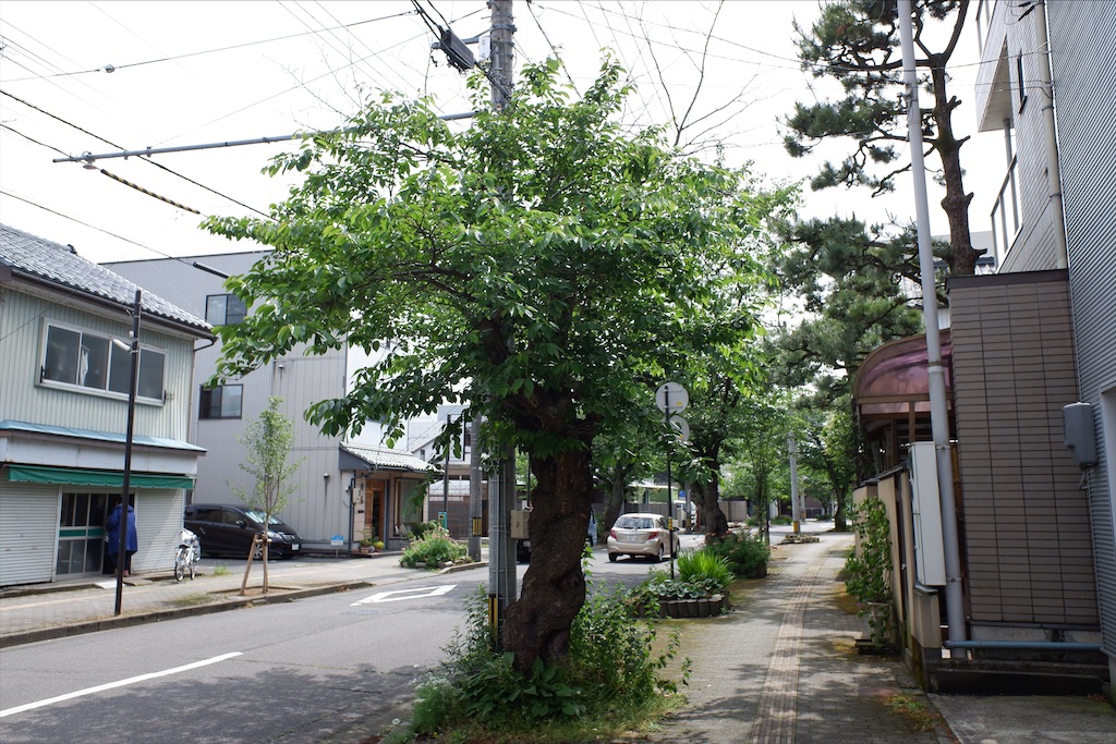f:id:edwalk:20200527112454j:image