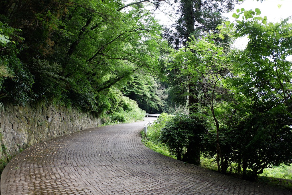 f:id:edwalk:20200527112723j:image