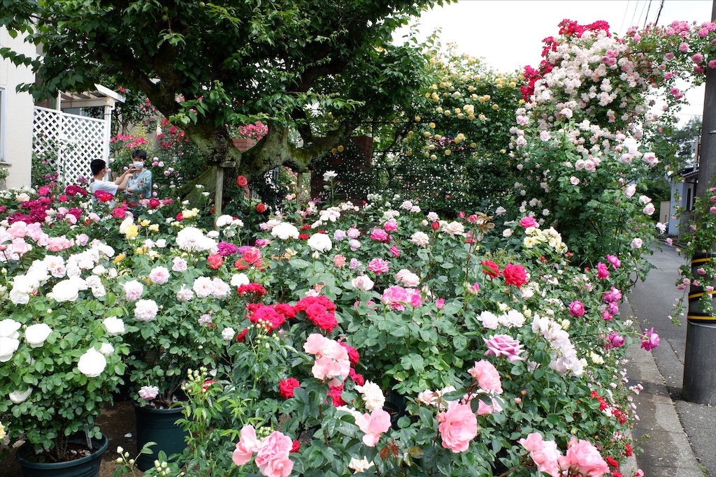 f:id:edwalk:20200527114535j:image