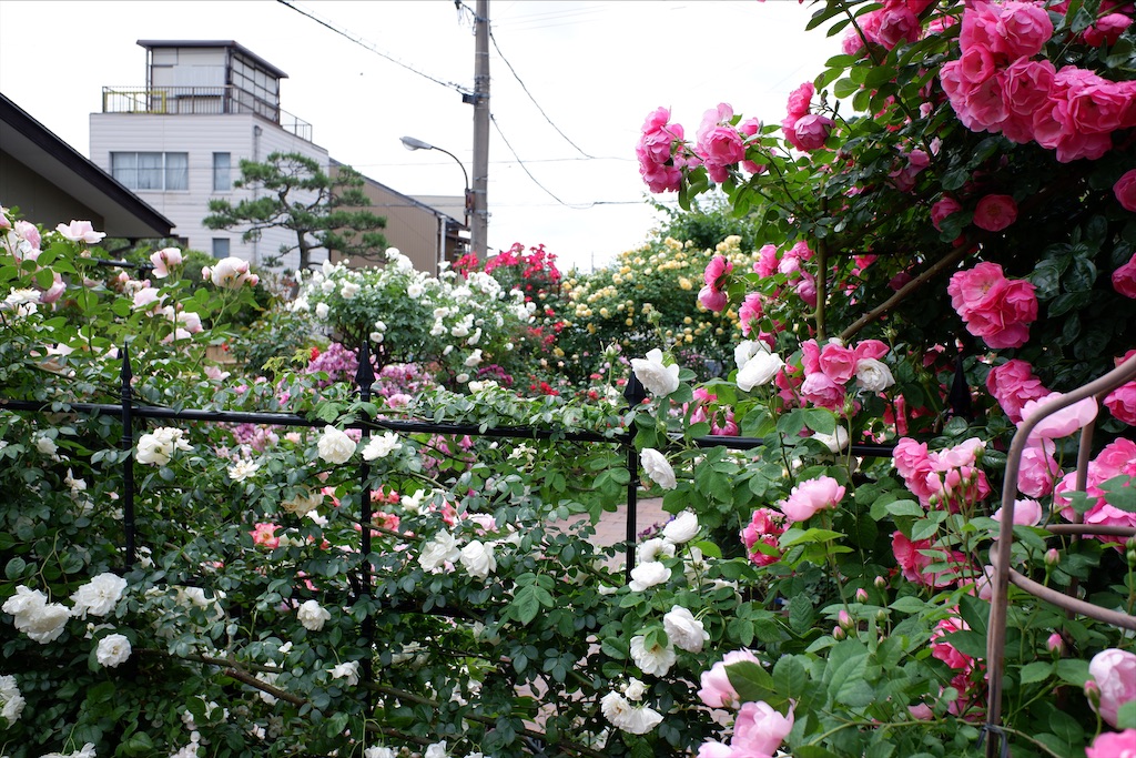 f:id:edwalk:20200527114543j:image