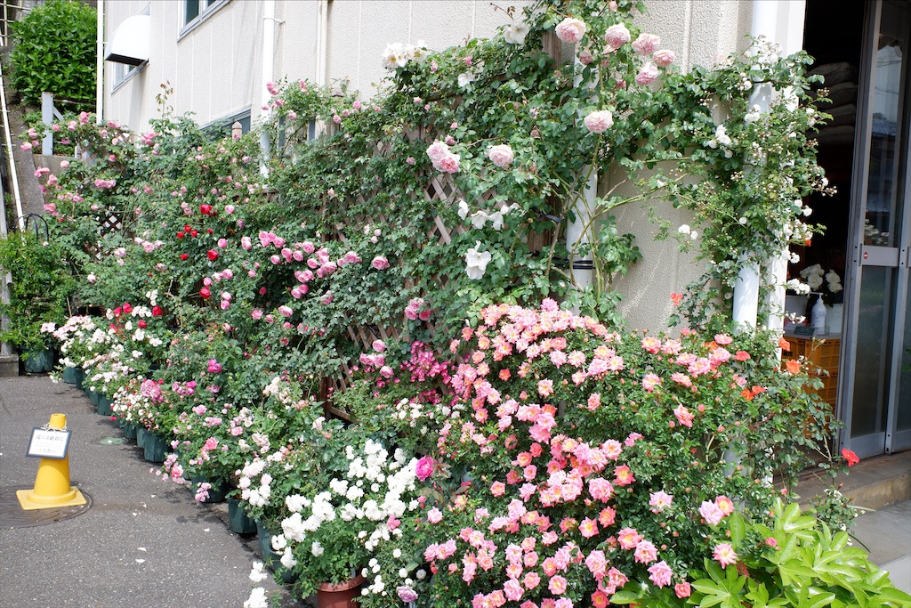 f:id:edwalk:20200527114557j:image