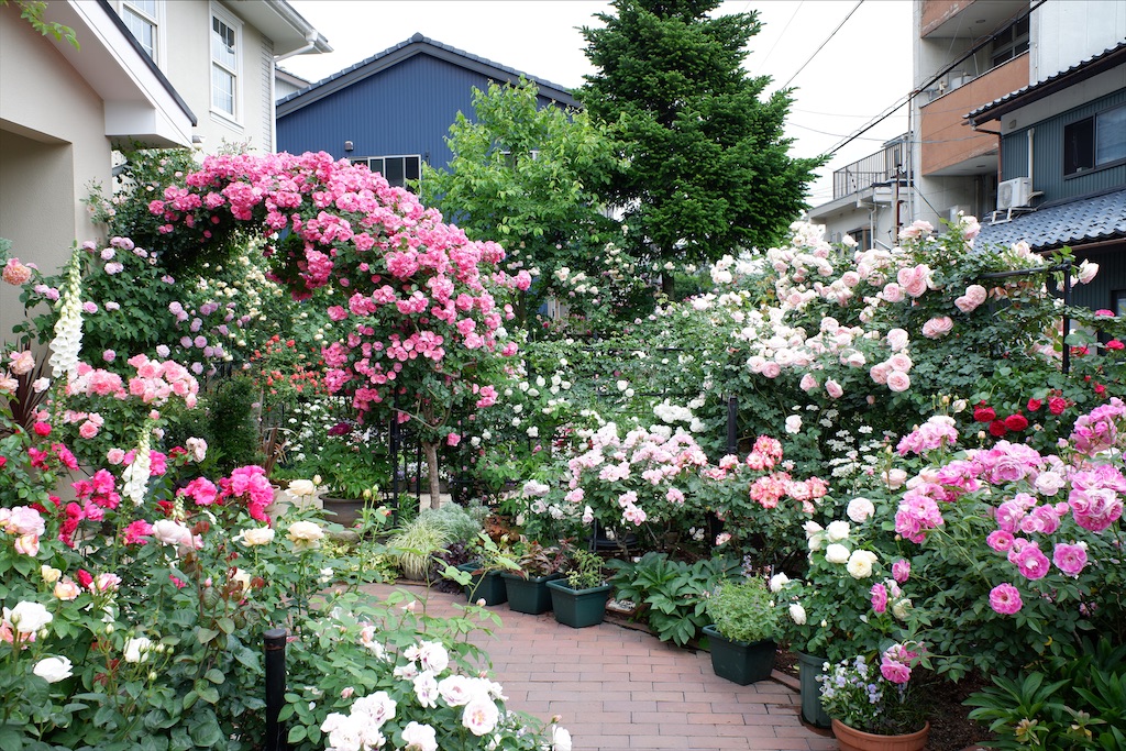 f:id:edwalk:20200527114600j:image