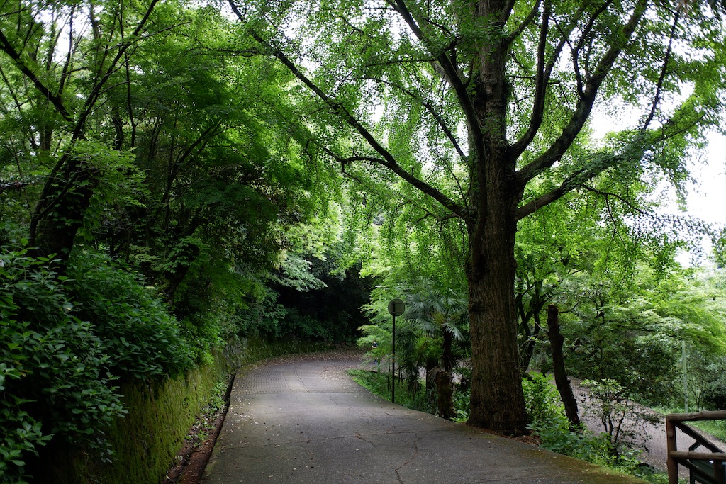 f:id:edwalk:20200527115328j:image