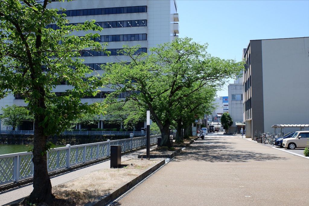 f:id:edwalk:20200530085229j:image