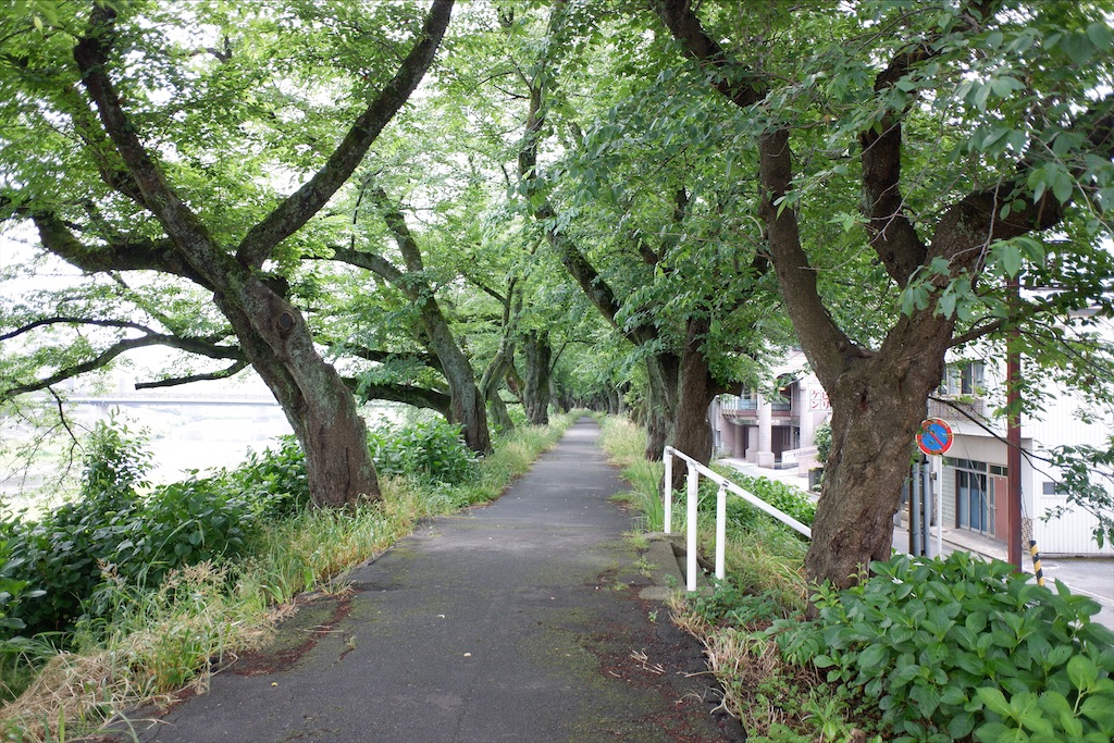 f:id:edwalk:20200602122410j:image