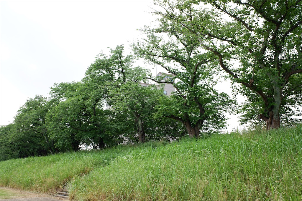 f:id:edwalk:20200602122421j:image