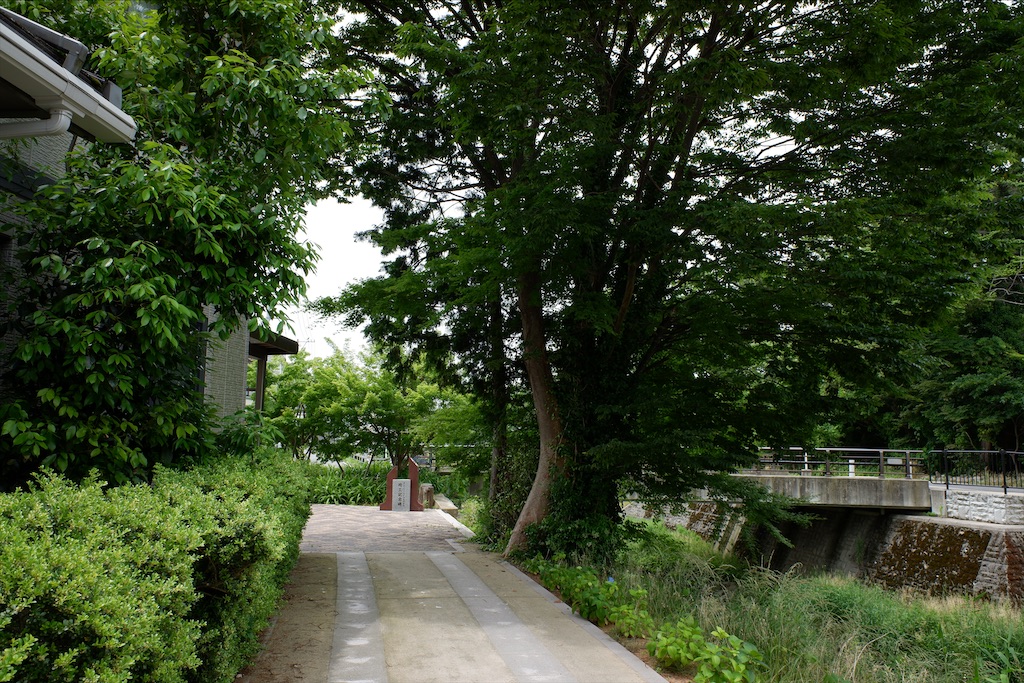 f:id:edwalk:20200606172756j:image