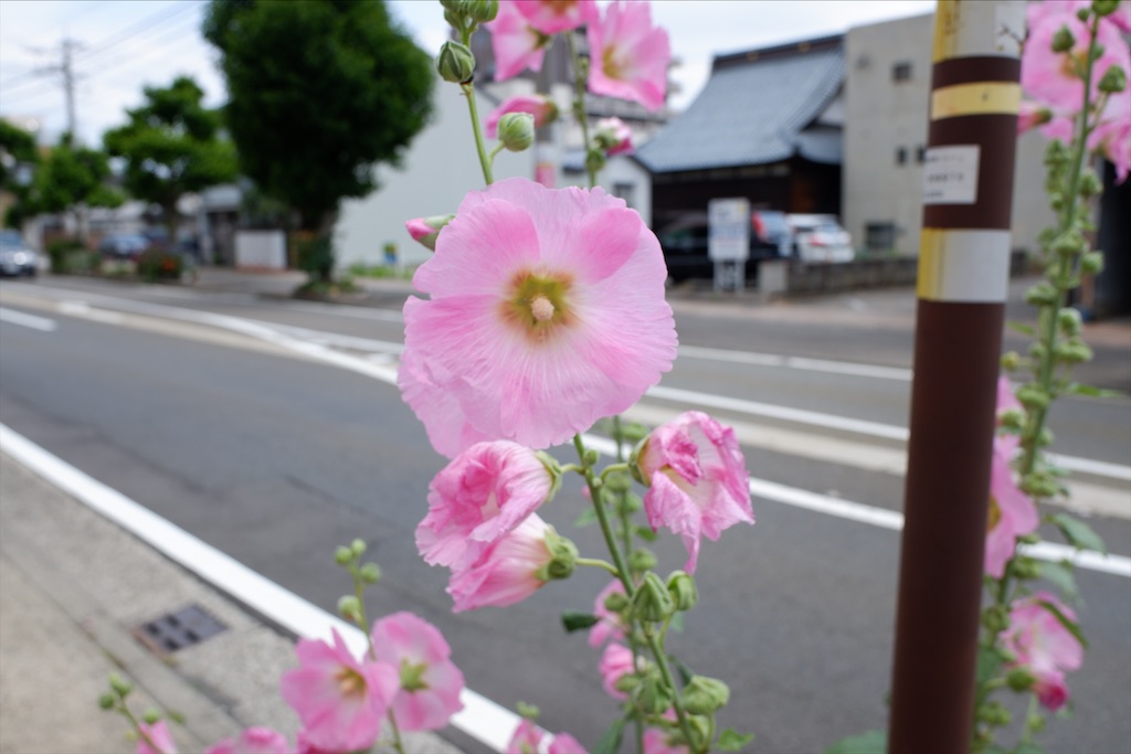 f:id:edwalk:20200616155835j:image