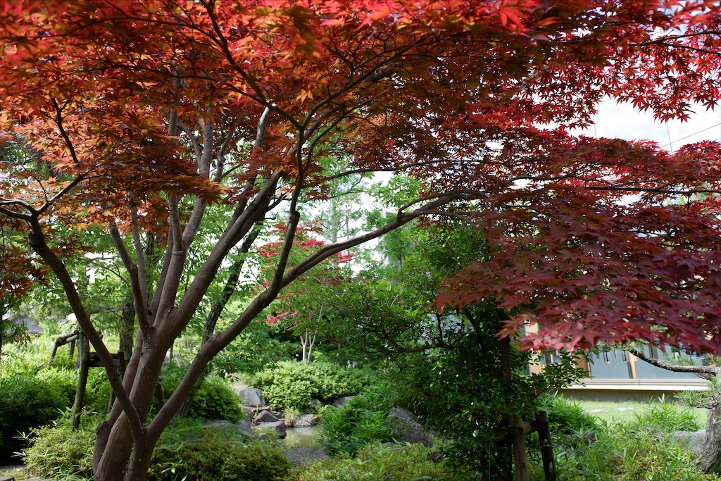 f:id:edwalk:20200617112458j:image