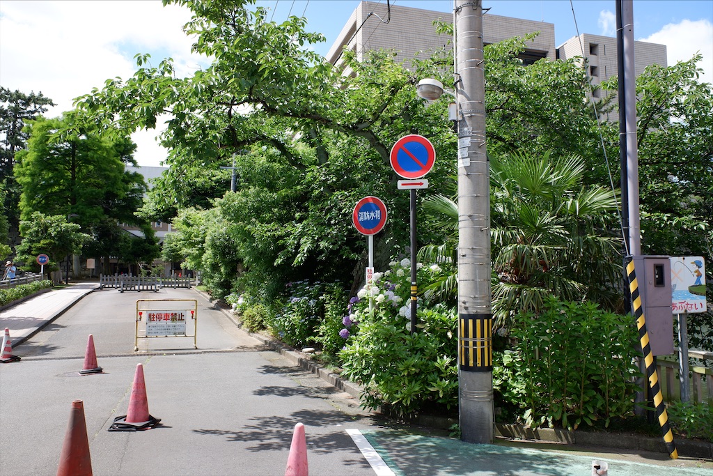 f:id:edwalk:20200617112527j:image