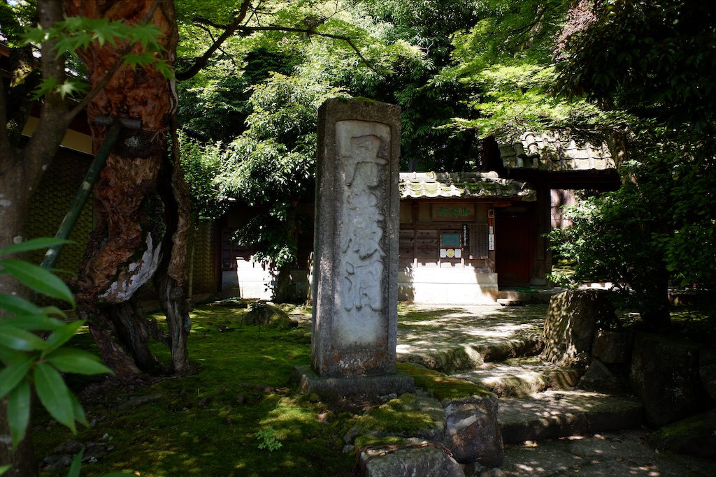 f:id:edwalk:20200621182956j:image