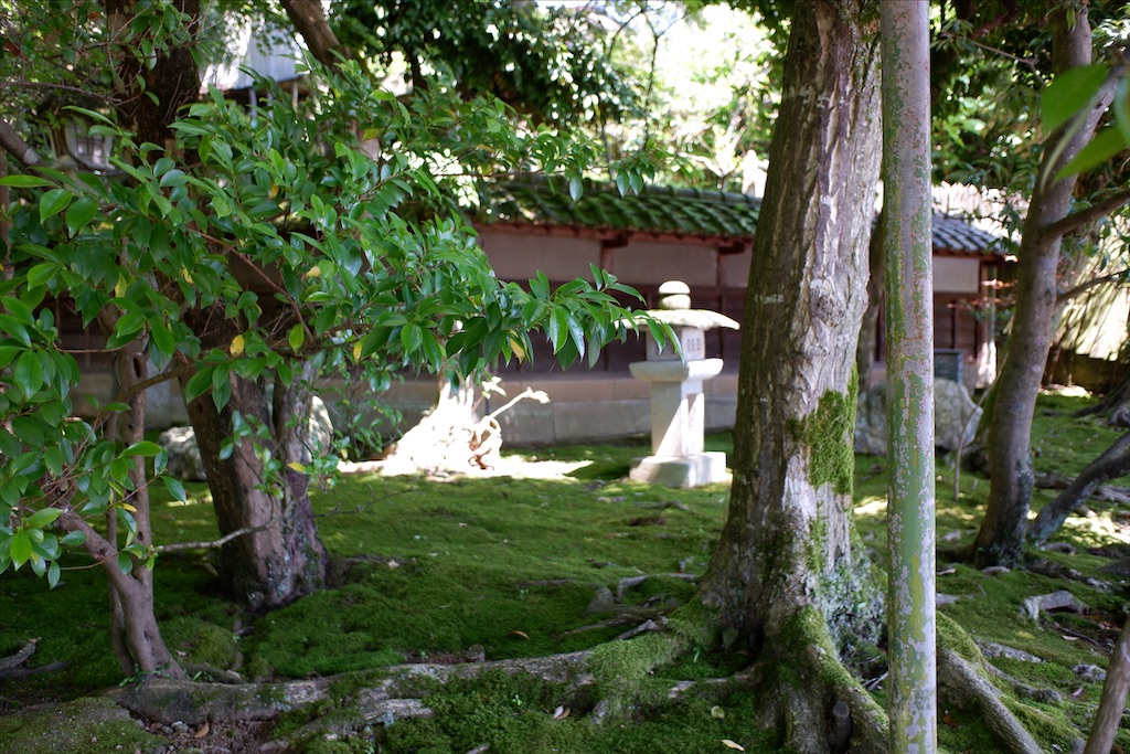 f:id:edwalk:20200621183159j:image