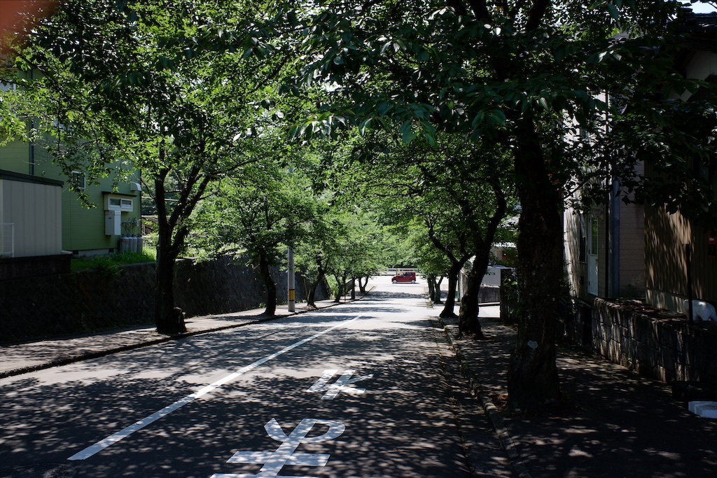 f:id:edwalk:20200621184610j:image
