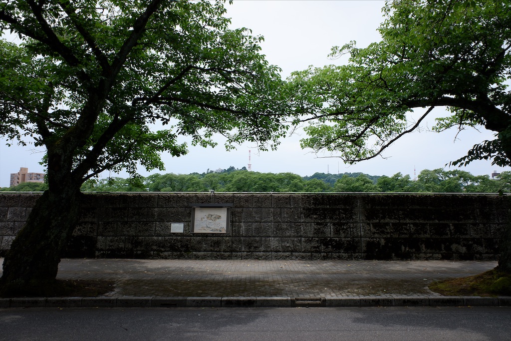 f:id:edwalk:20200622142414j:image f:id:edwalk:20200622142414j:image