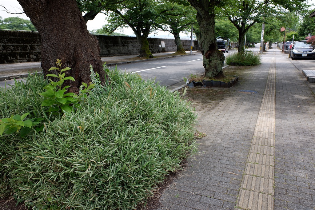 f:id:edwalk:20200622142909j:image f:id:edwalk:20200622142909j:image