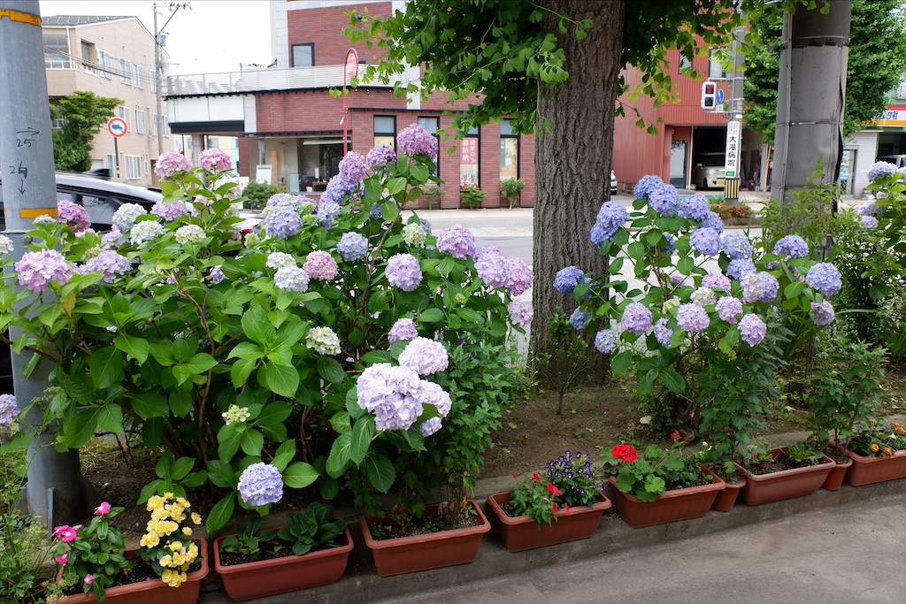 f:id:edwalk:20200622142952j:image f:id:edwalk:20200622142952j:image