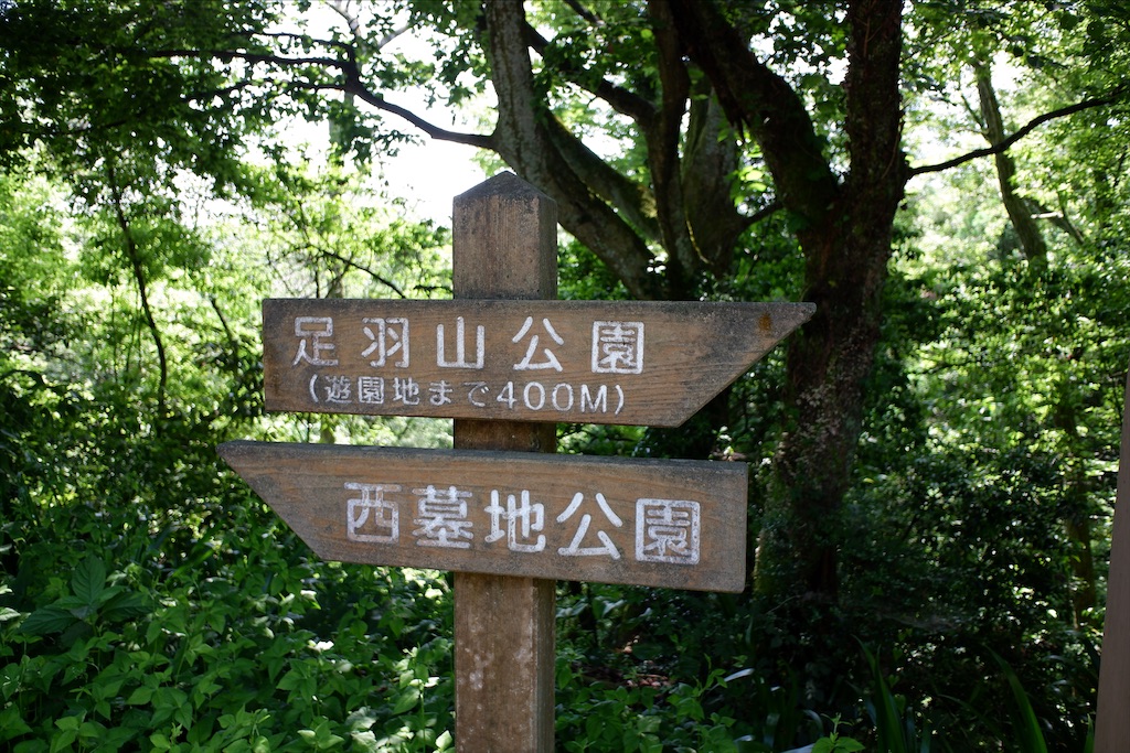 f:id:edwalk:20200629114209j:image f:id:edwalk:20200629114209j:image