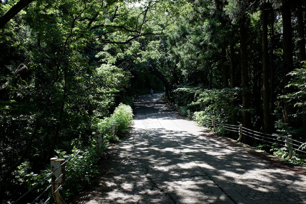 f:id:edwalk:20200629114402j:image f:id:edwalk:20200629114402j:image