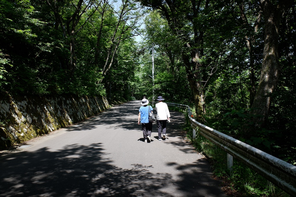 f:id:edwalk:20200629114844j:image f:id:edwalk:20200629114844j:image