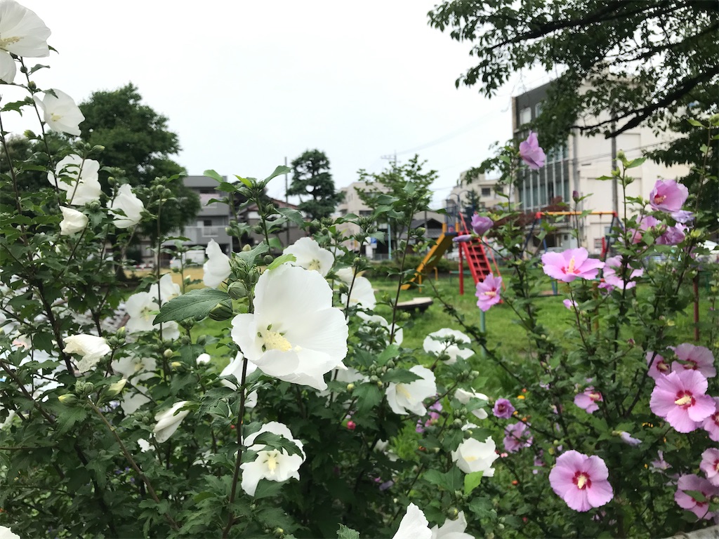 f:id:edwalk:20200713102522j:image