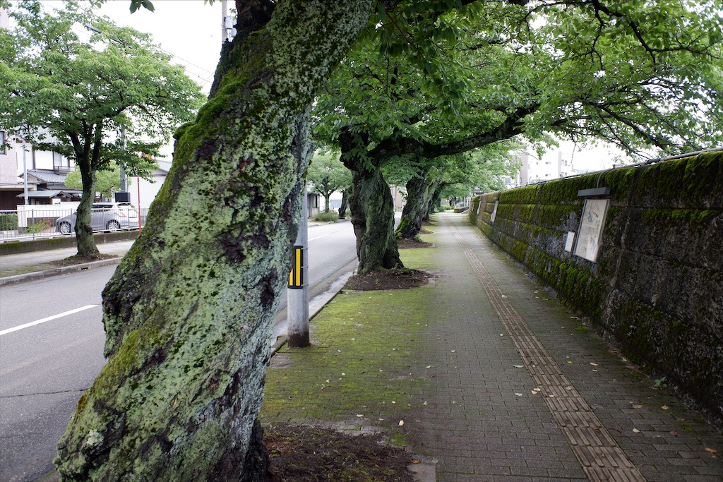 f:id:edwalk:20200716181357j:image