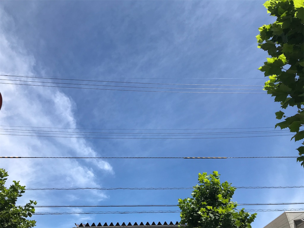 f:id:edwalk:20200722213455j:image f:id:edwalk:20200722213455j:image