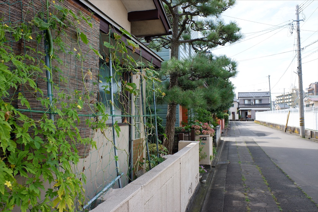 f:id:edwalk:20200802112728j:image