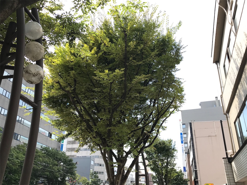 f:id:edwalk:20200920121641j:image