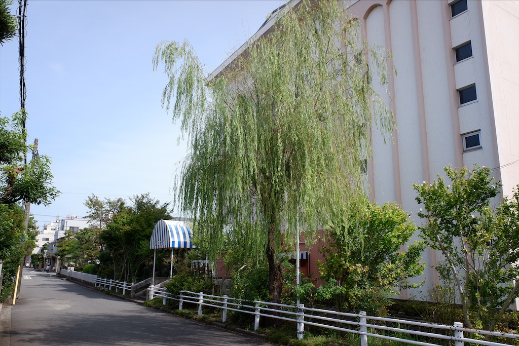 f:id:edwalk:20200929122328j:image
