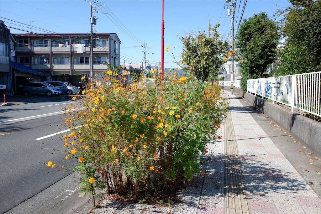 f:id:edwalk:20201016143600j:image