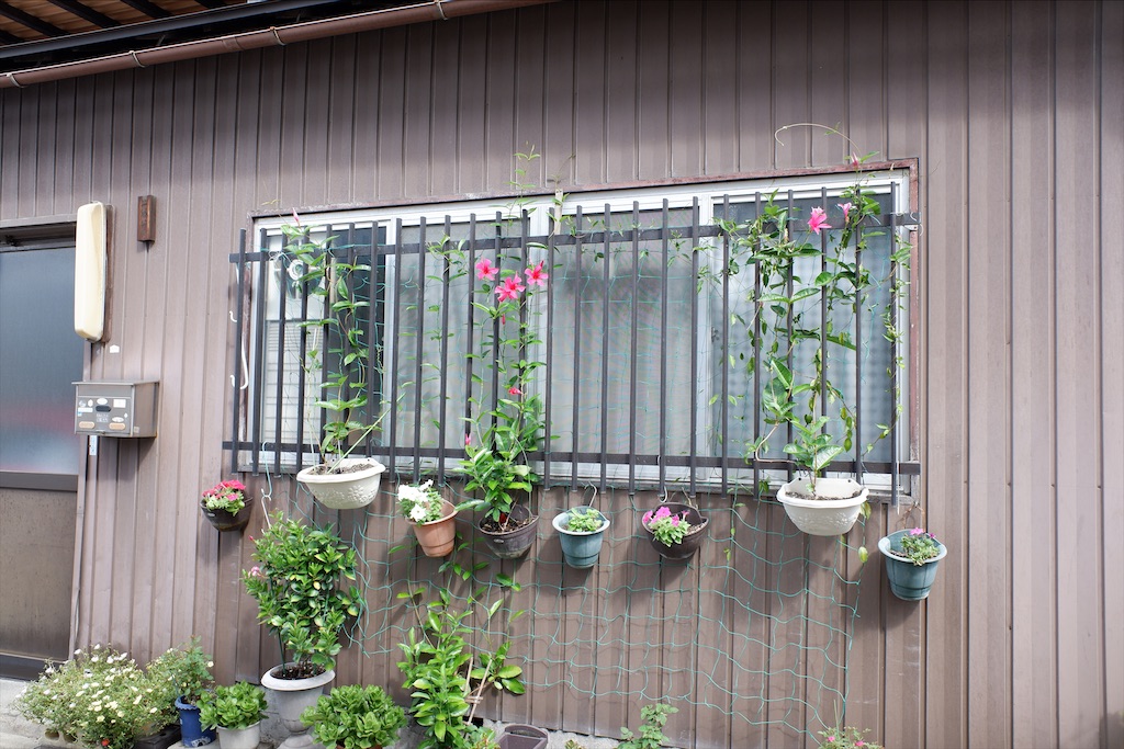 f:id:edwalk:20201018155232j:image
