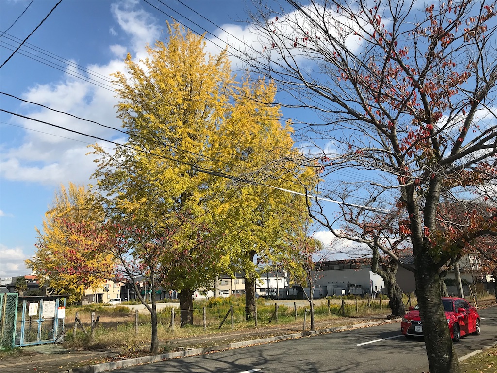 f:id:edwalk:20201113122620j:image f:id:edwalk:20201113122620j:image