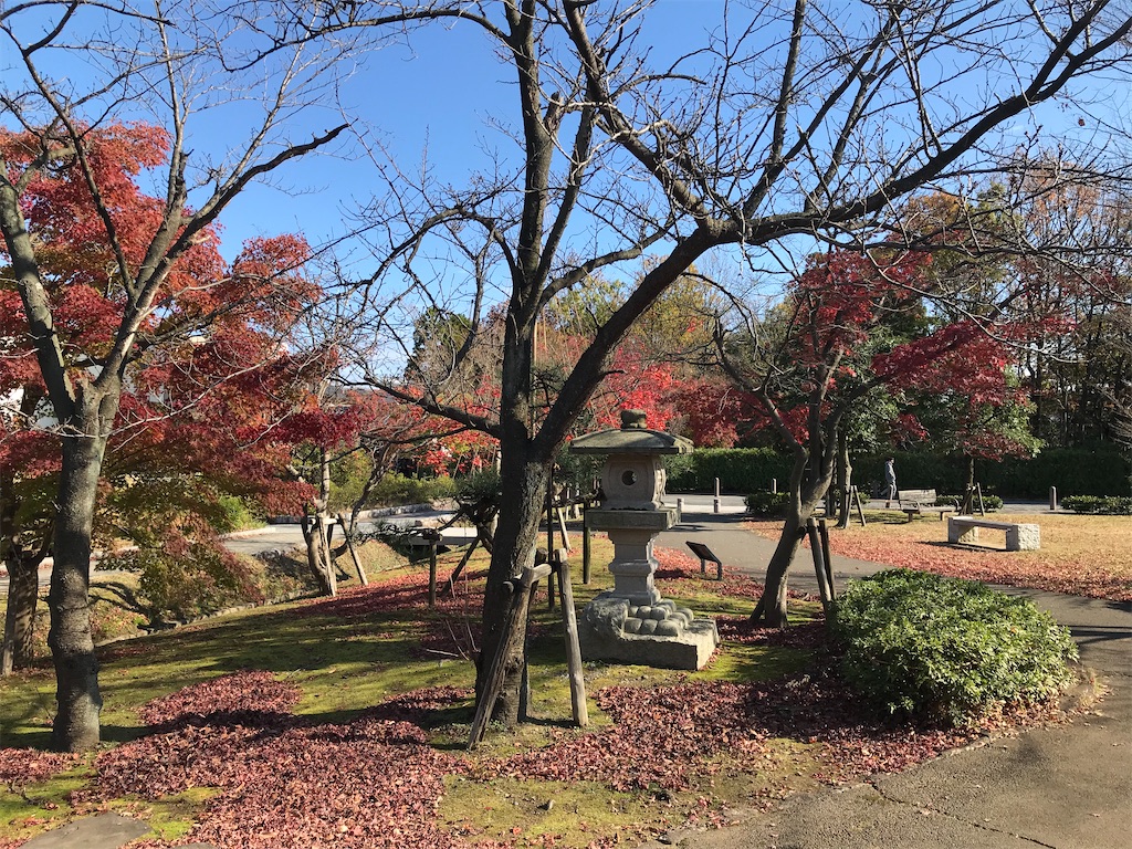 f:id:edwalk:20201125151532j:image