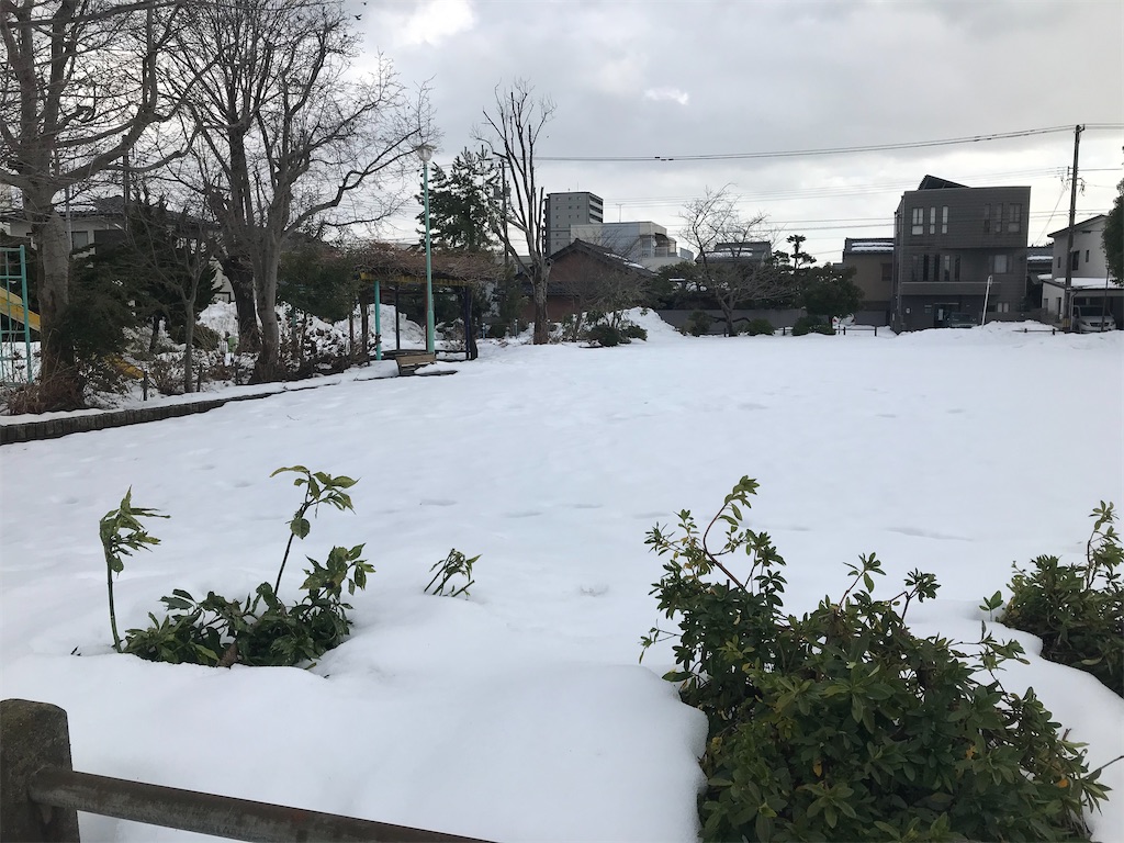 f:id:edwalk:20210127121103j:image f:id:edwalk:20210127121103j:image