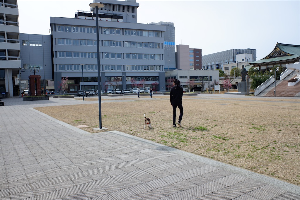 f:id:edwalk:20210309145849j:image f:id:edwalk:20210309145849j:image