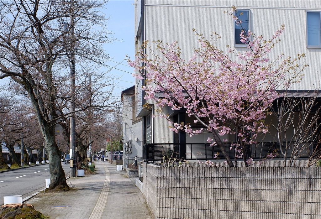 f:id:edwalk:20210320193410j:image