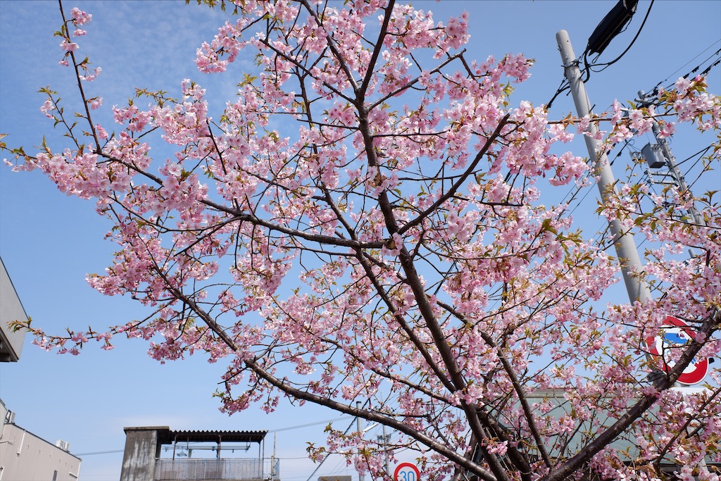 f:id:edwalk:20210320193422j:image