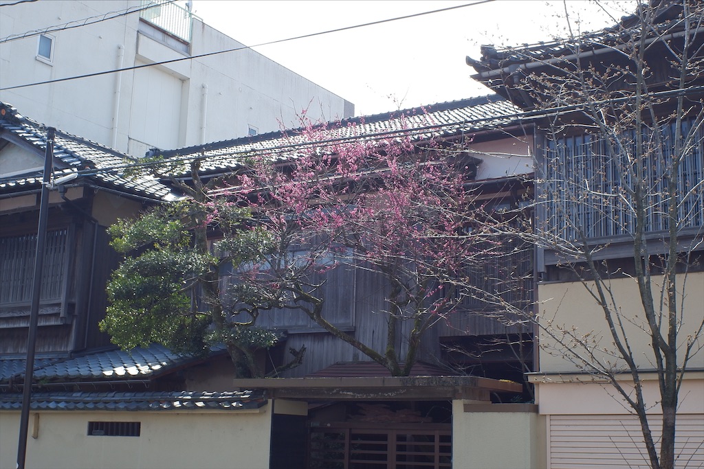 f:id:edwalk:20210321195856j:image
