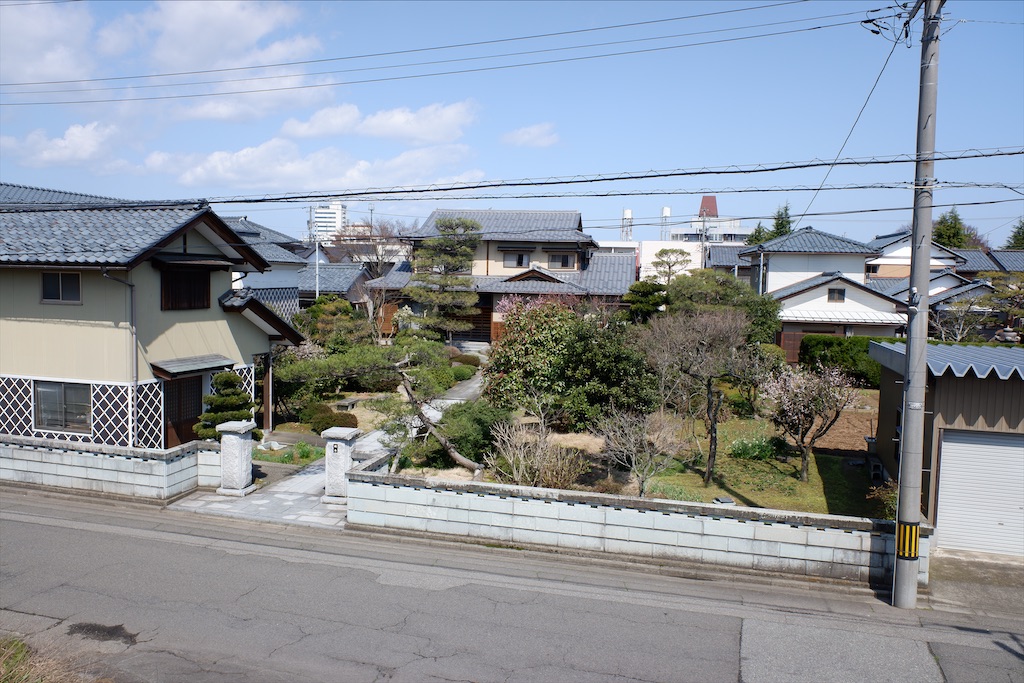 f:id:edwalk:20210323161745j:image f:id:edwalk:20210323161745j:image