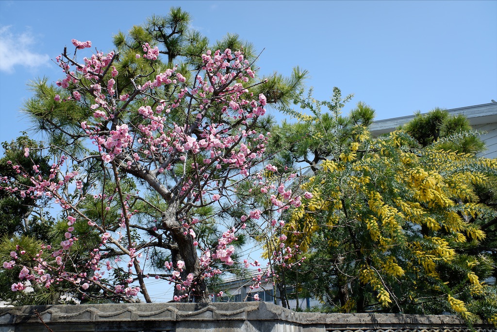 f:id:edwalk:20210323161759j:image f:id:edwalk:20210323161759j:image