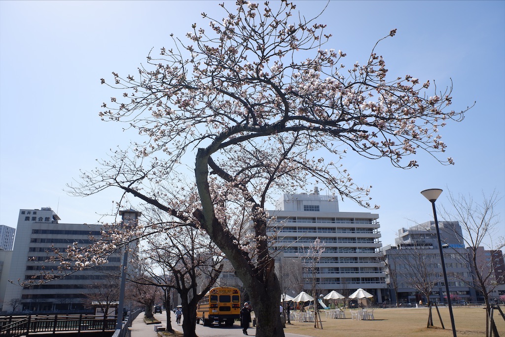 f:id:edwalk:20210324143406j:image