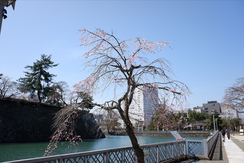 f:id:edwalk:20210324143527j:image