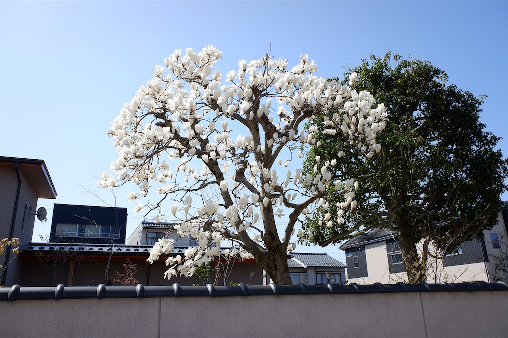 f:id:edwalk:20210324143923j:image