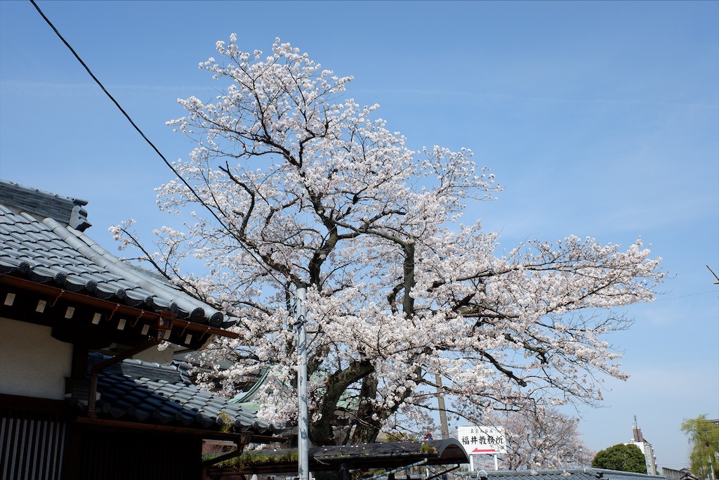 f:id:edwalk:20210327152355j:image