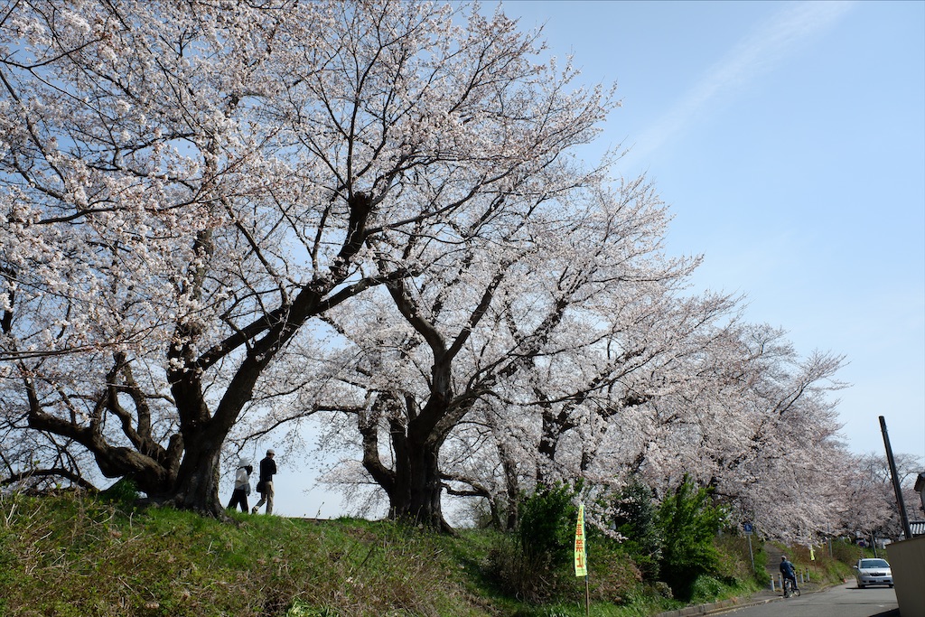 f:id:edwalk:20210327152358j:image