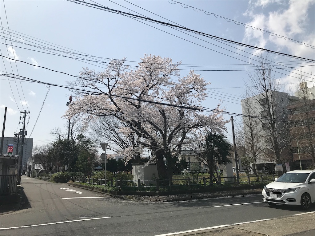 f:id:edwalk:20210329142542j:image f:id:edwalk:20210329142542j:image