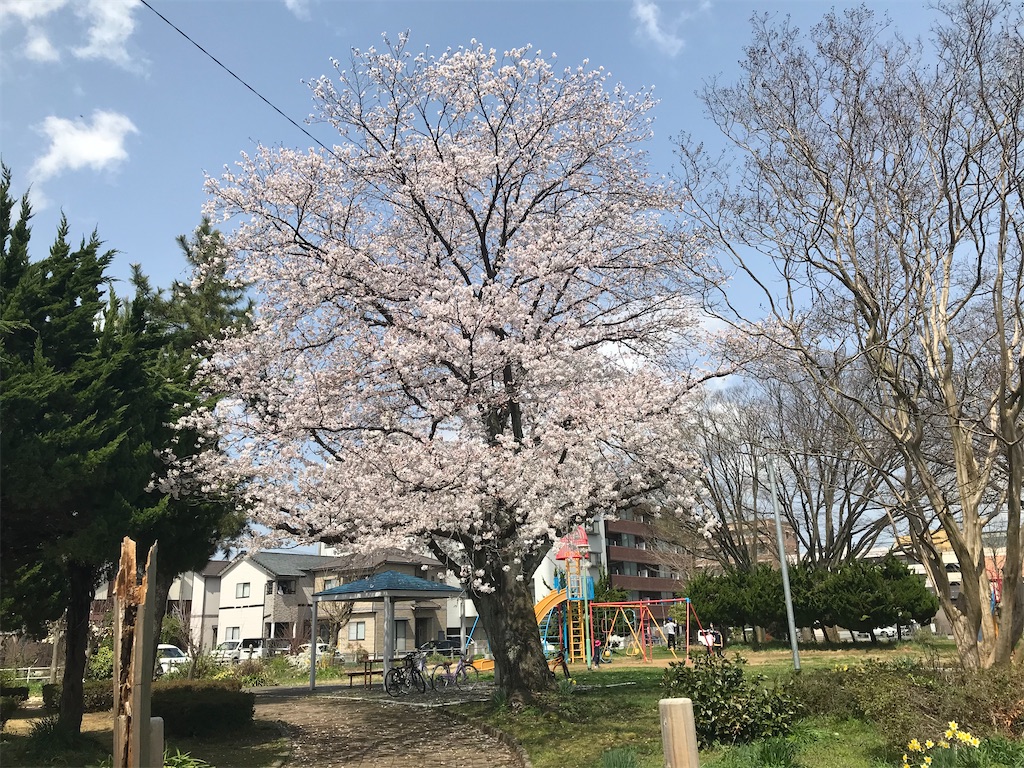 f:id:edwalk:20210329142546j:image f:id:edwalk:20210329142546j:image