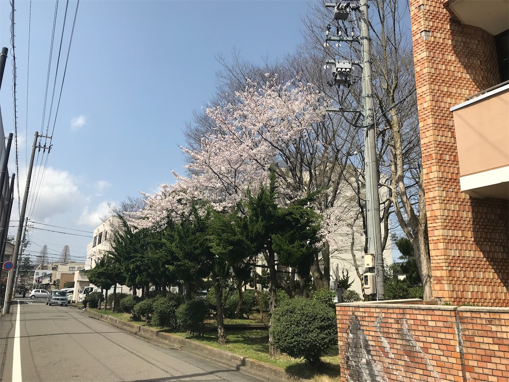 f:id:edwalk:20210329142558j:image f:id:edwalk:20210329142558j:image