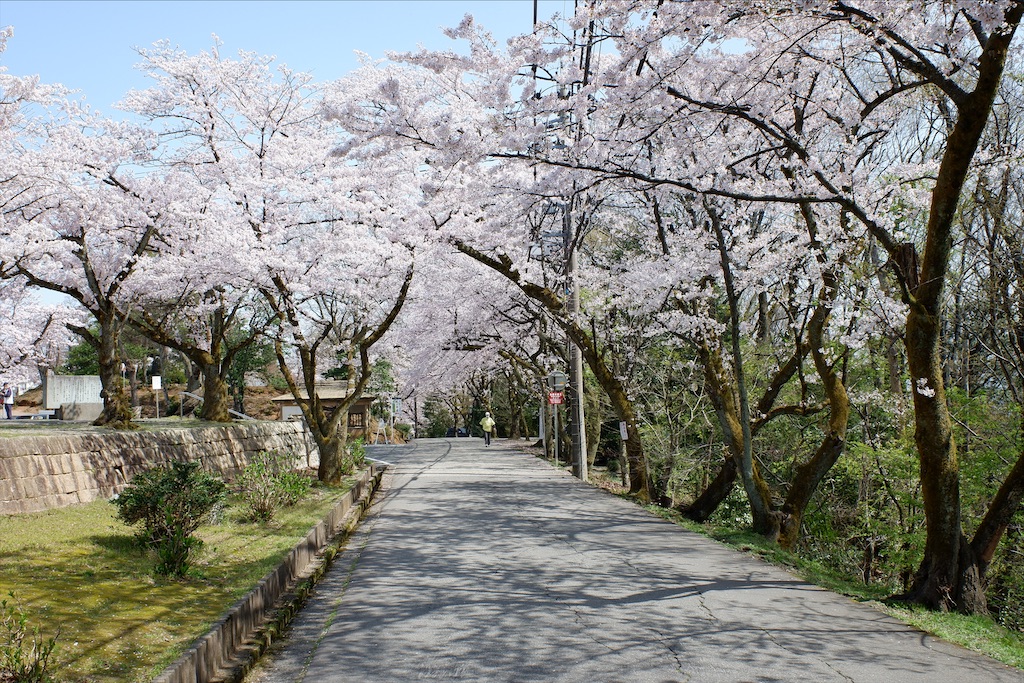 f:id:edwalk:20210401120703j:image