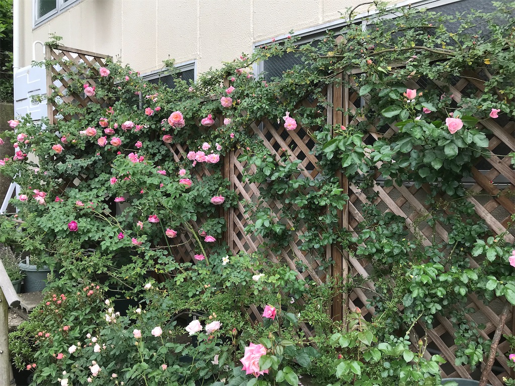 f:id:edwalk:20210518161025j:image